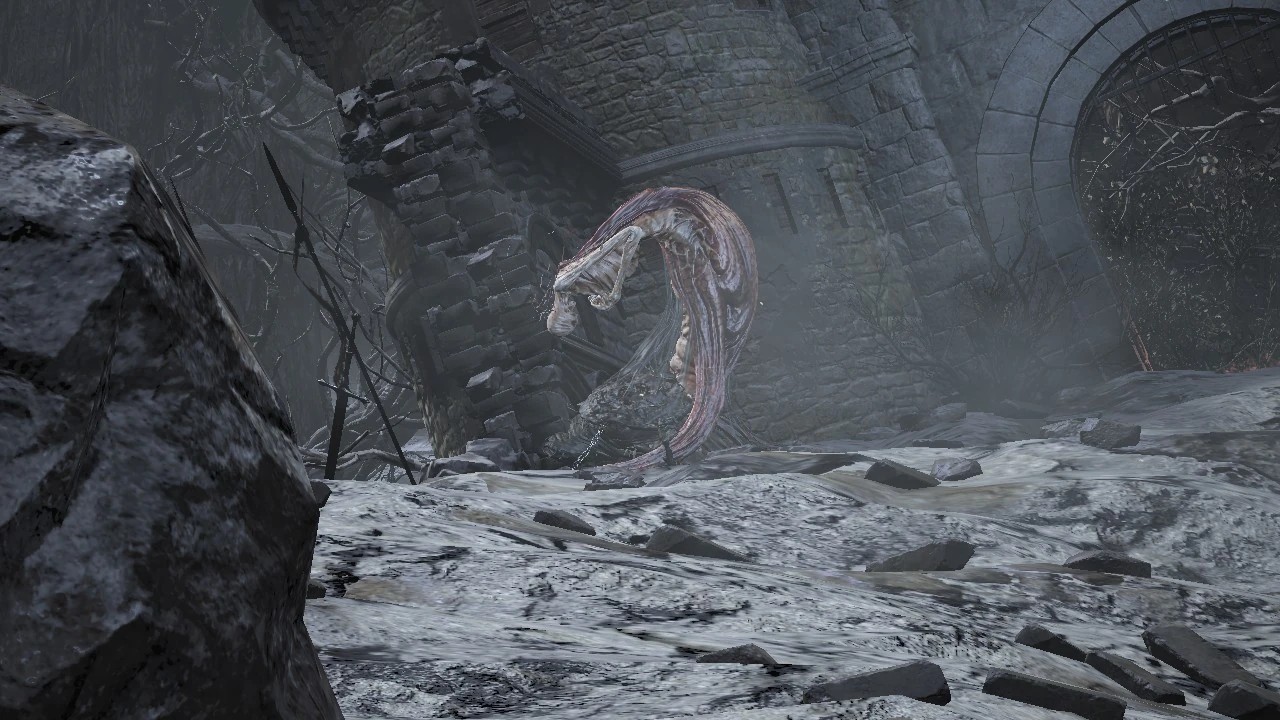 Первый хост.