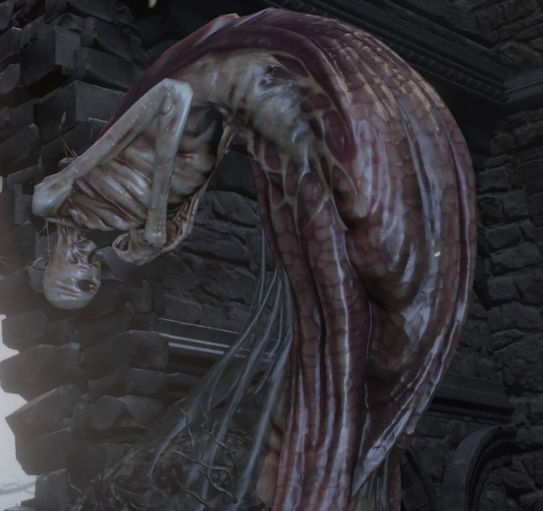 Пилигрим-хост.