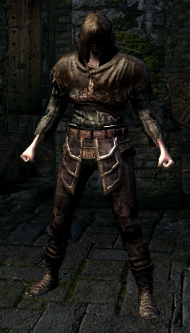 Сет полого вора