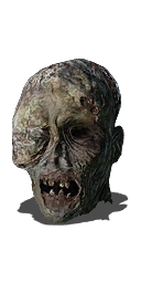 Кожа полого