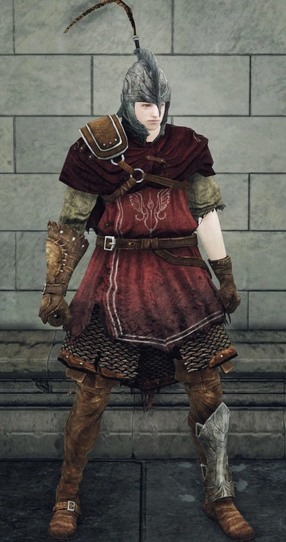 Сет сокольника