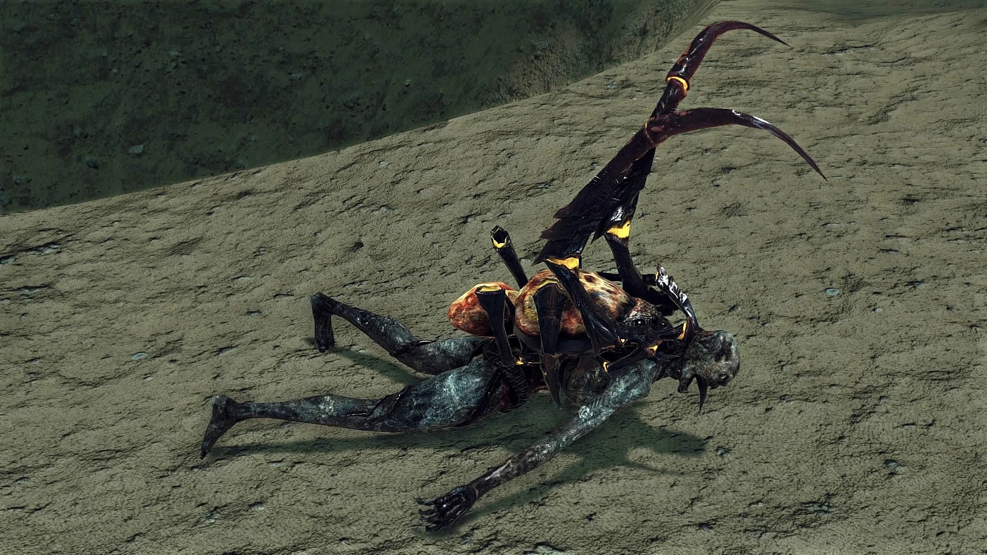 Бухта №22.jpg