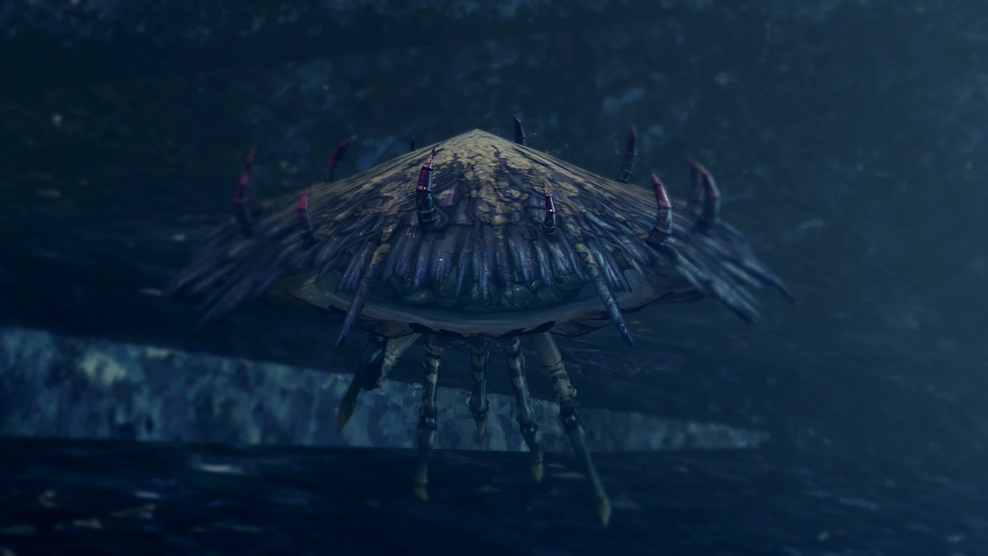 Внешний вид