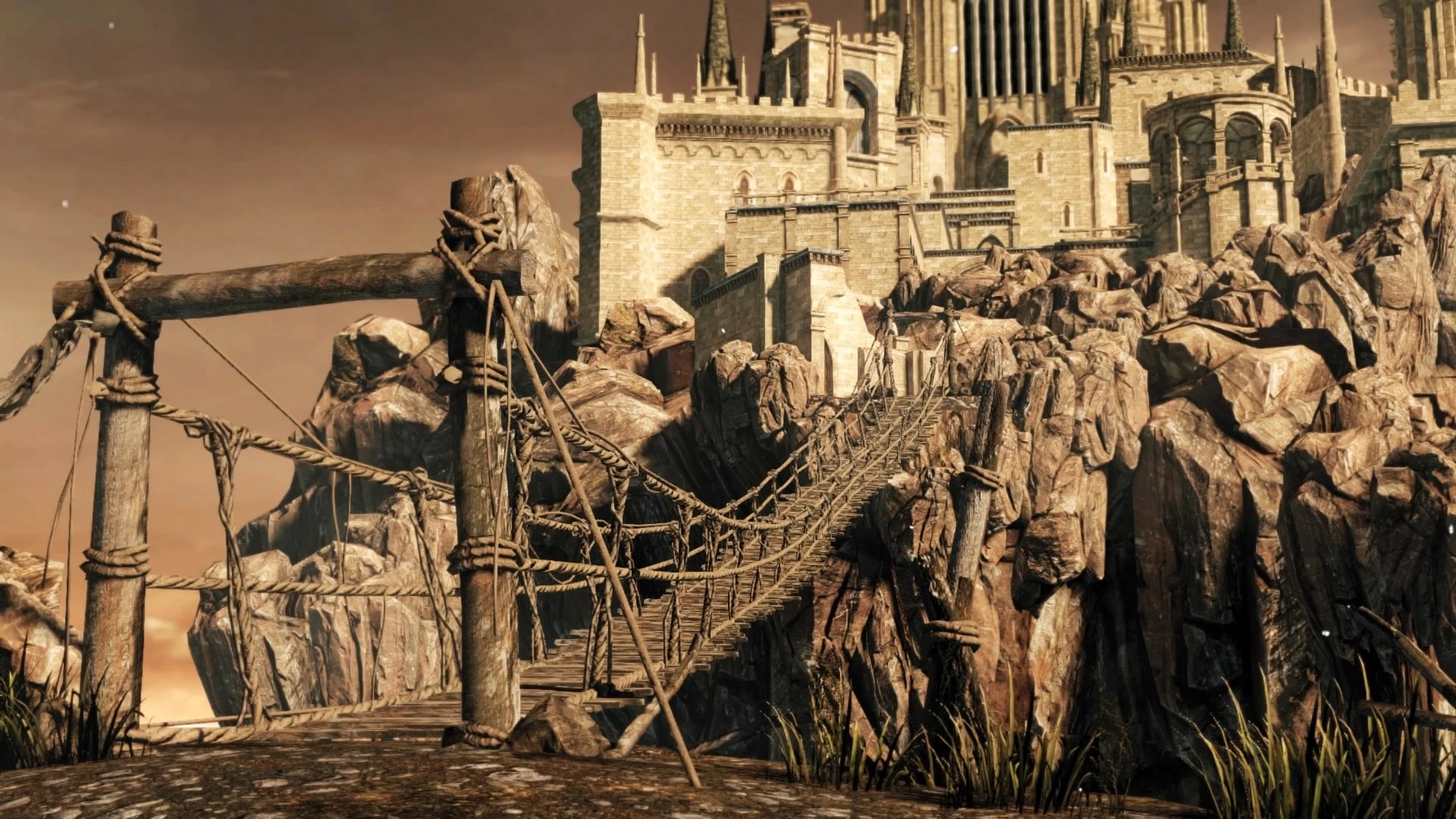 Гнездо №11.jpg