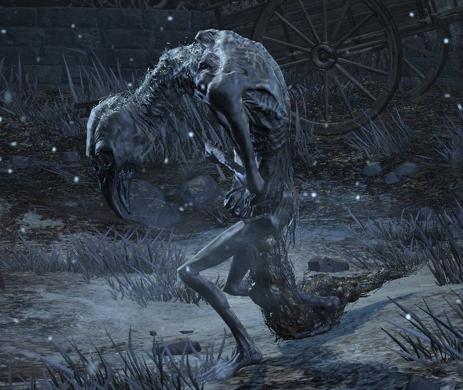 Гниющий ворон