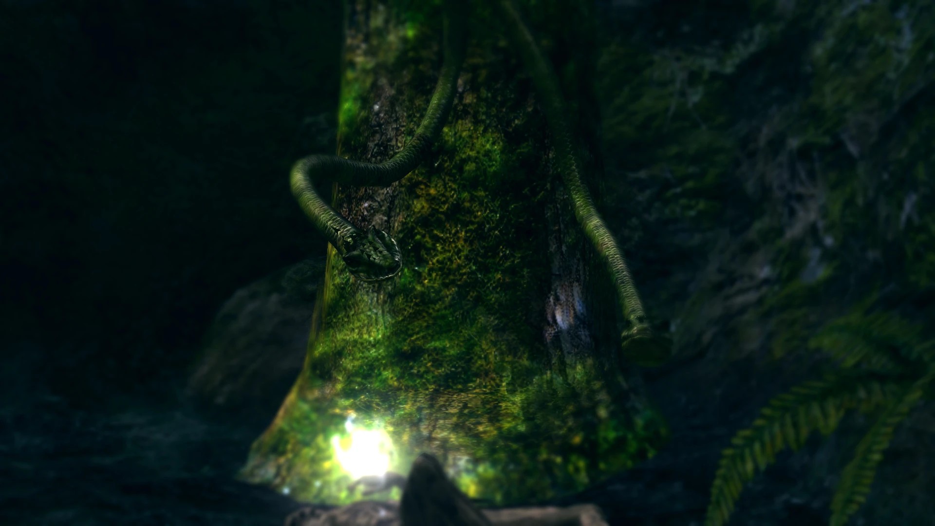 Древесная ящерица