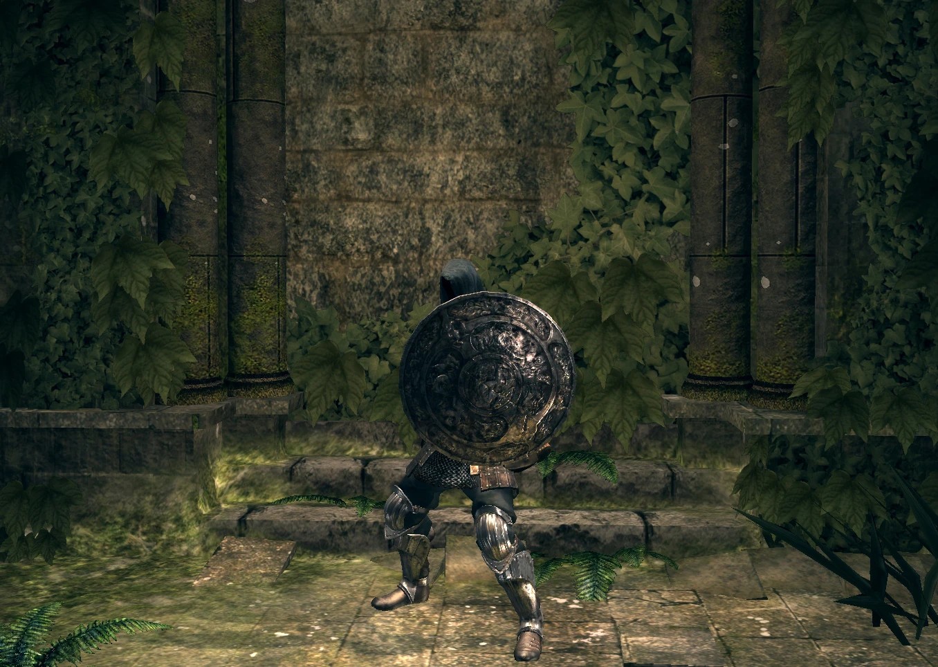 Железный щит.jpg