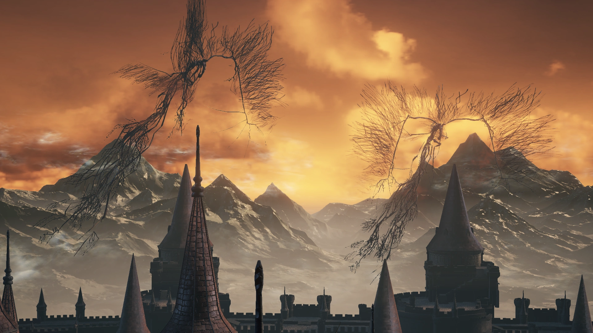 374320 20240521203637 1.png