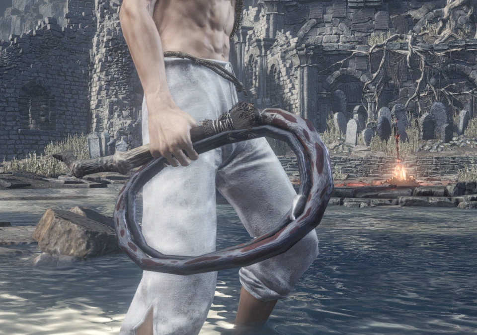 Запятнанный_кнут_(Dark_Souls_III)_(одноручный_хват).png