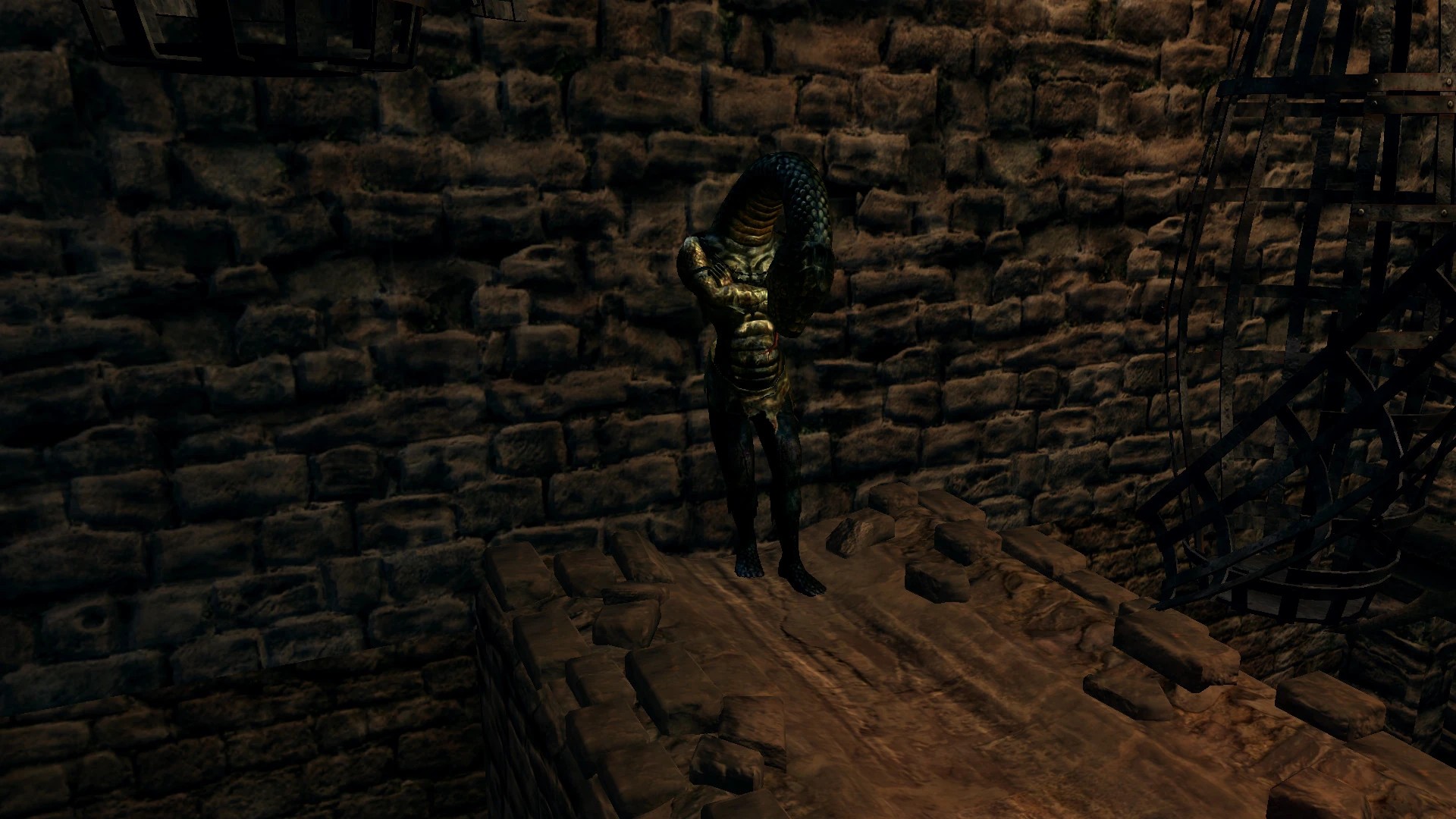 Спящий змей в Крепости Сена.