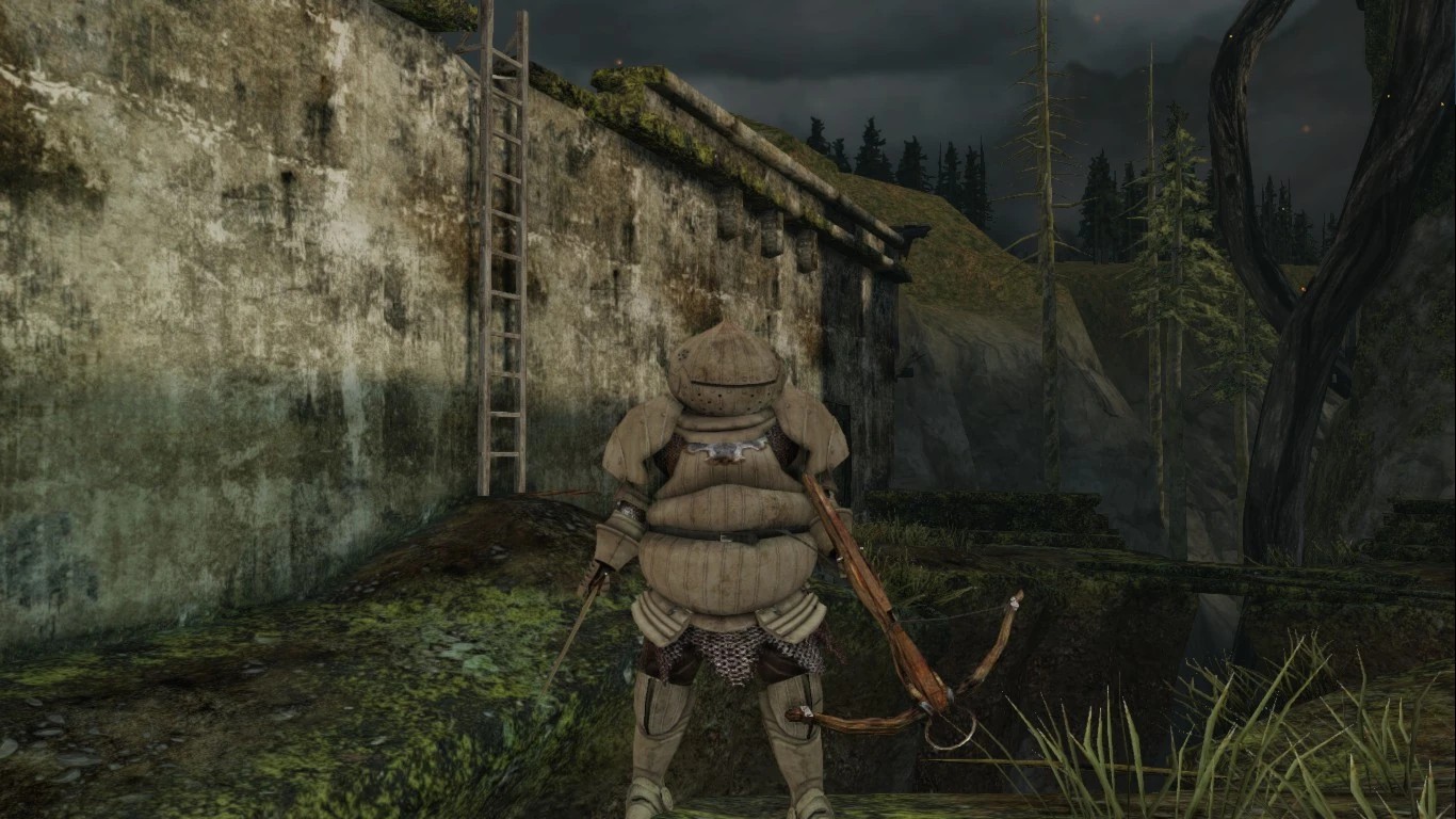 Сет Катарины, Палаш +5 и Тяжёлый арбалет +5, также выпадающие с фантома