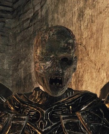 Hollow Skin equipped.jpg