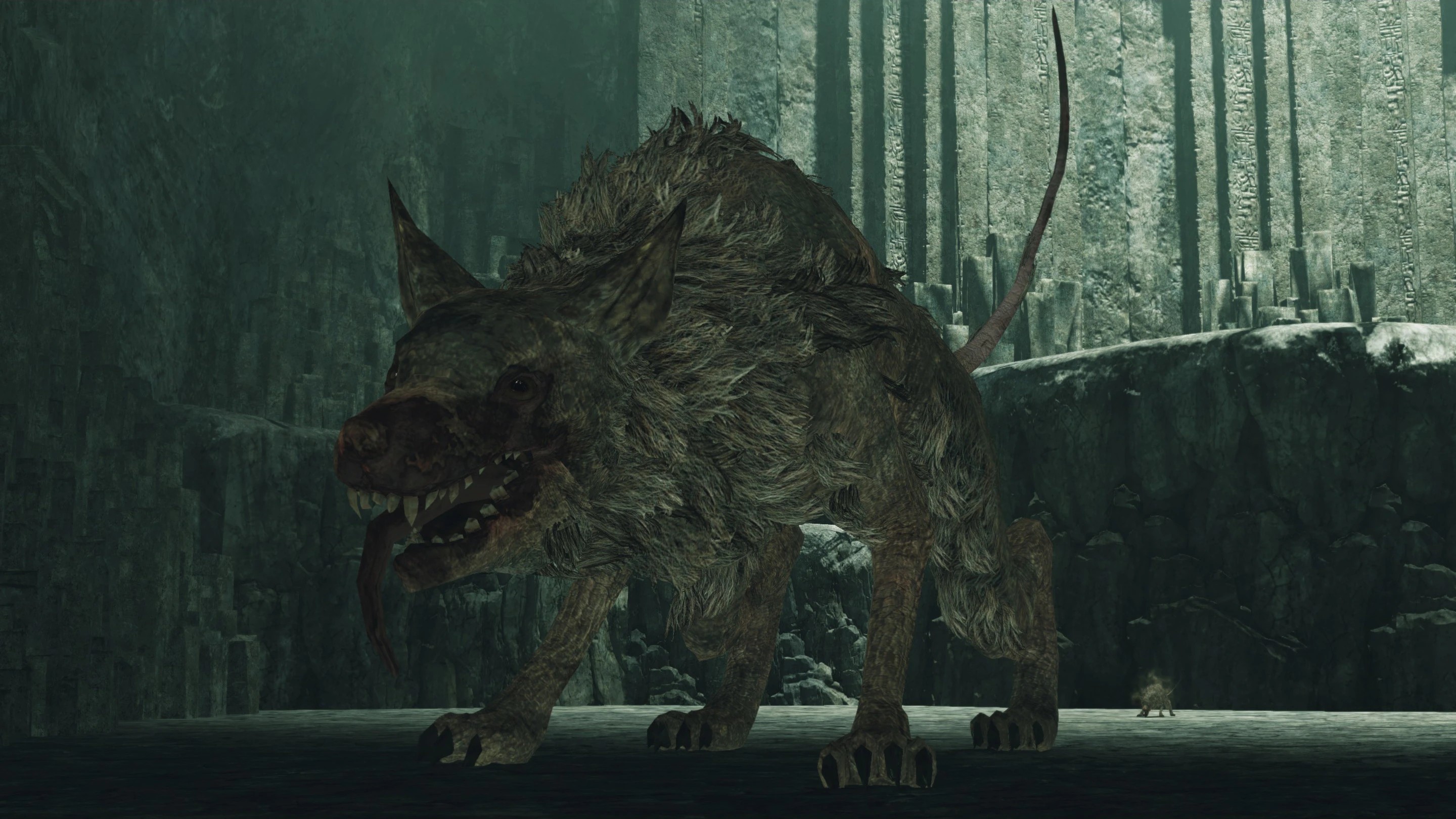 Командир крысиной гвардии 3.jpg