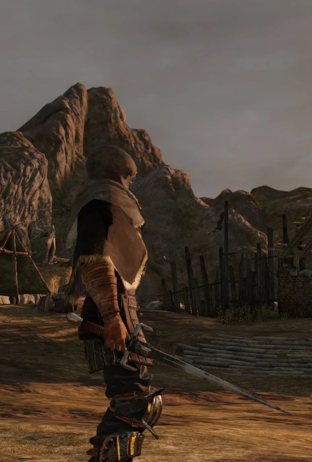 Королевский кортик.jpg