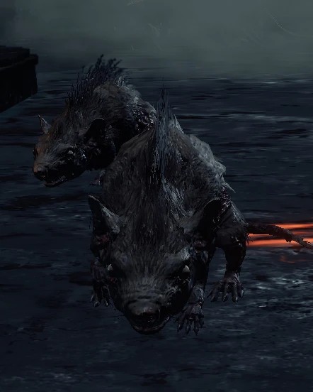 Крыса (Dark Souls III)