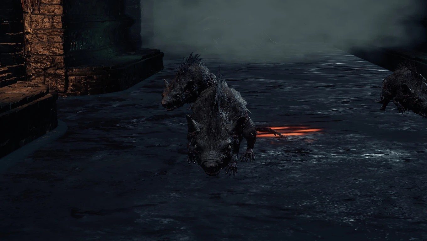 Типичное присутствие крыс в канализации.