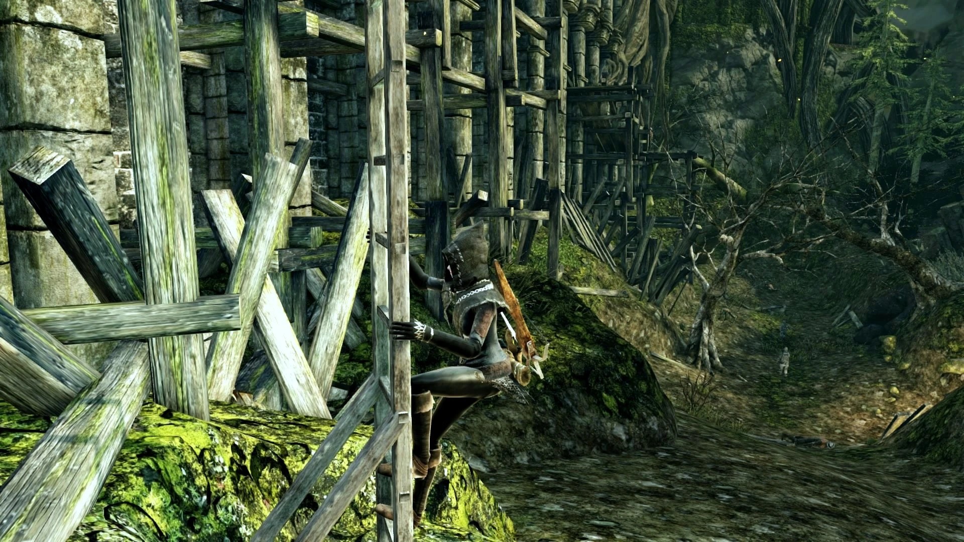 Лес гигантов №10.jpg