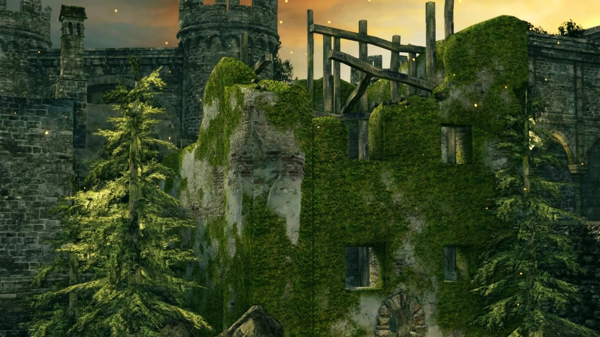 Лес гигантов №11.jpg