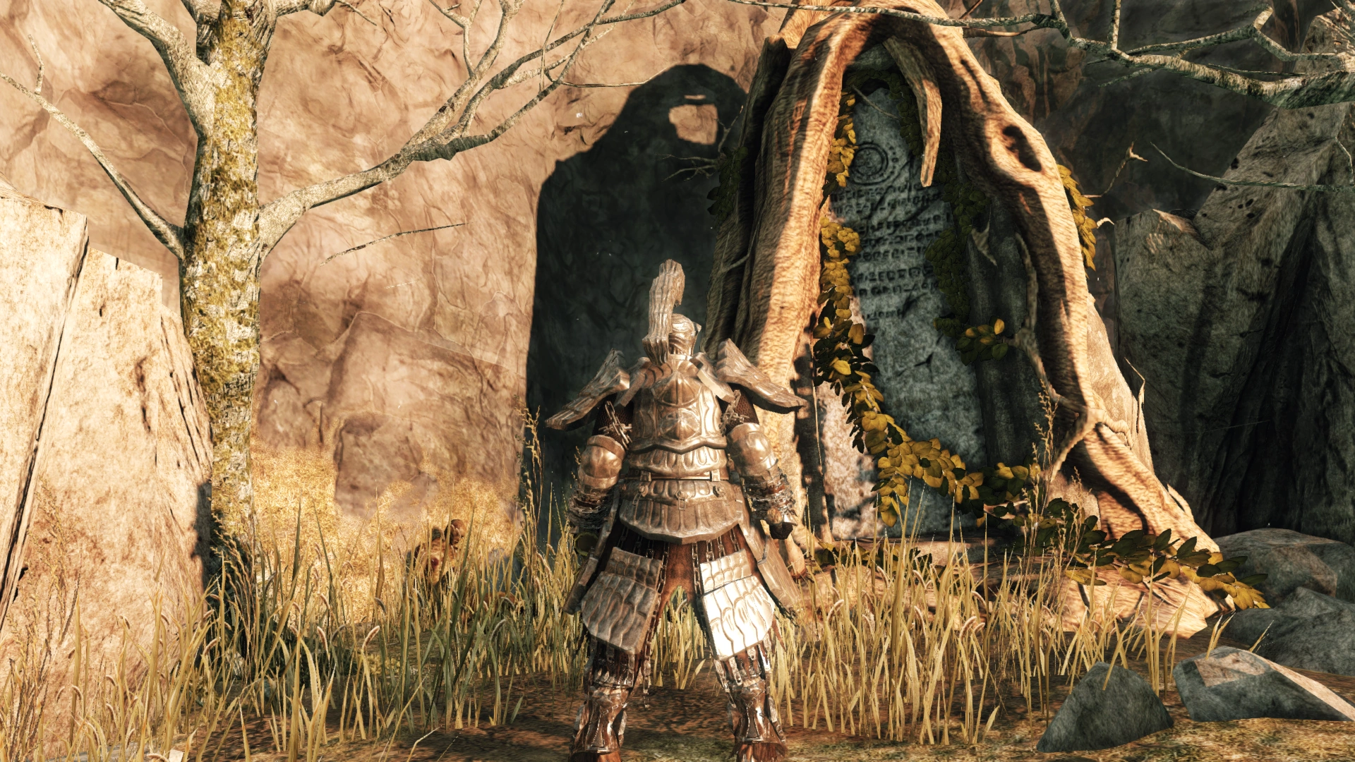 335300 20240128013747 1.png