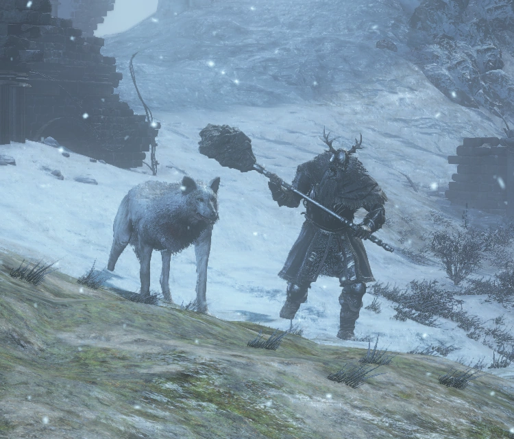 Рыцарь с волком