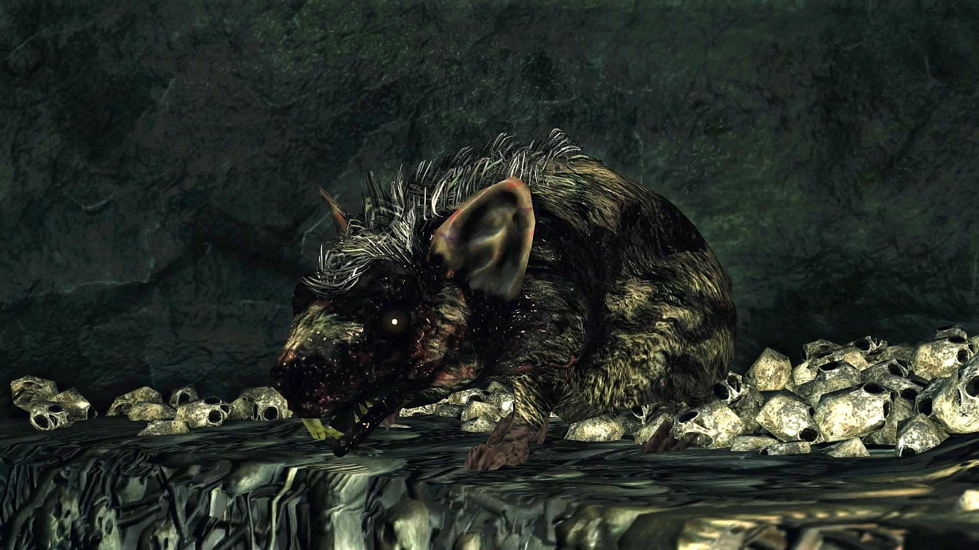 Могила №21.jpg