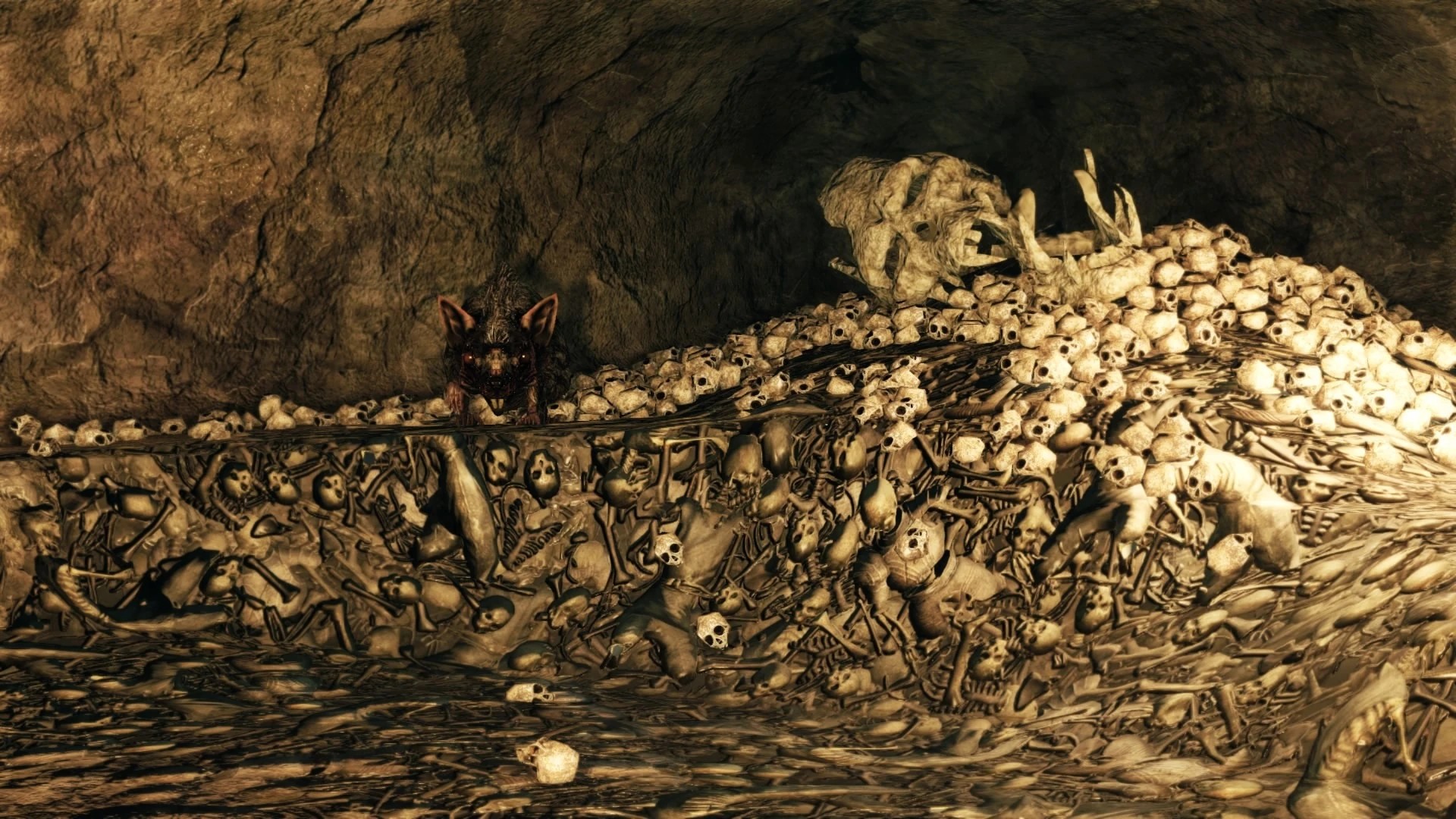 Могила №25.jpg