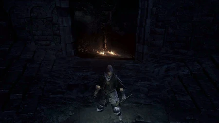 Невидимое тело (Dark Souls III)