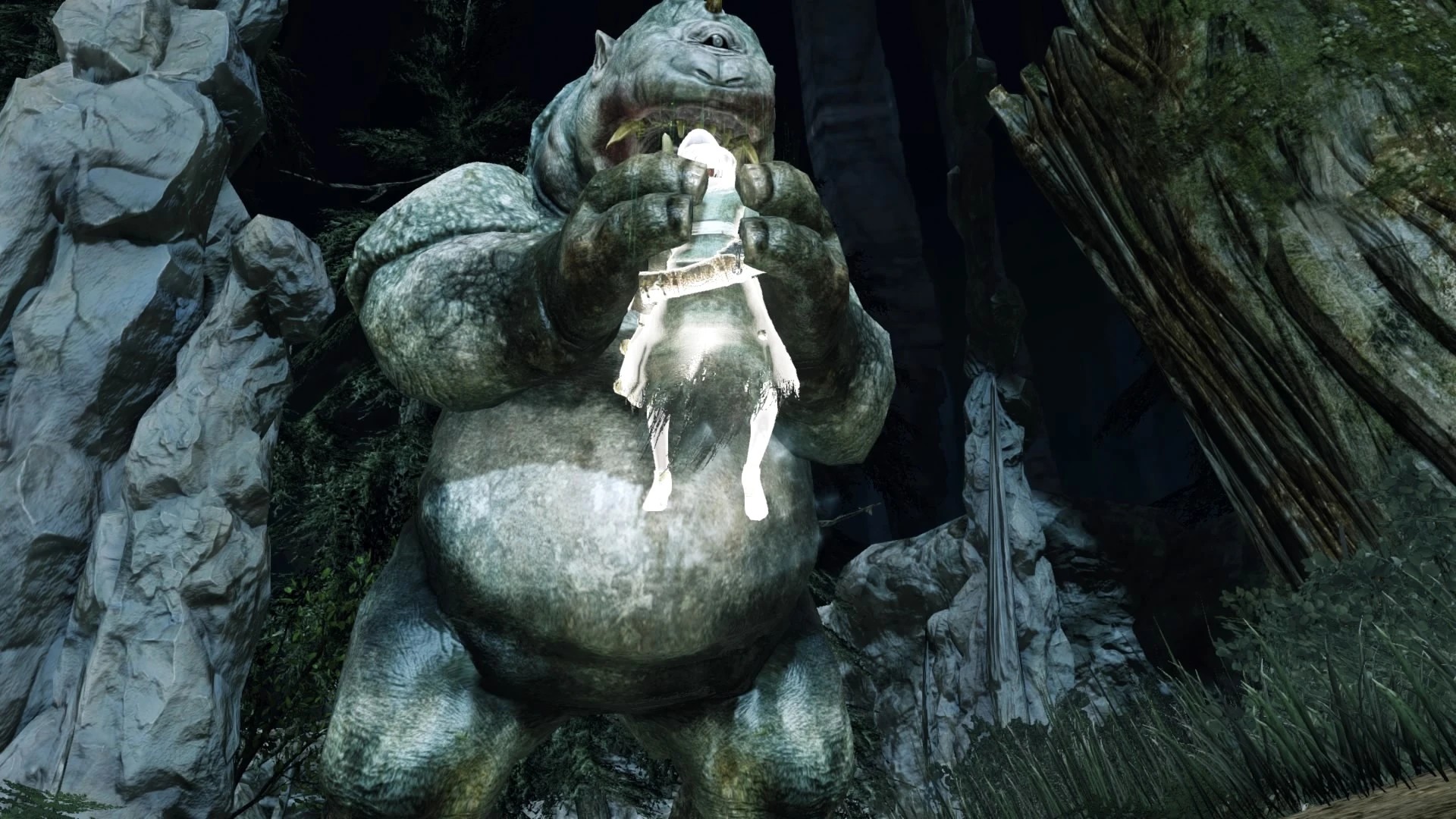 DARK SOULS™ II Scholar of the First Sin 20151030120429.jpg