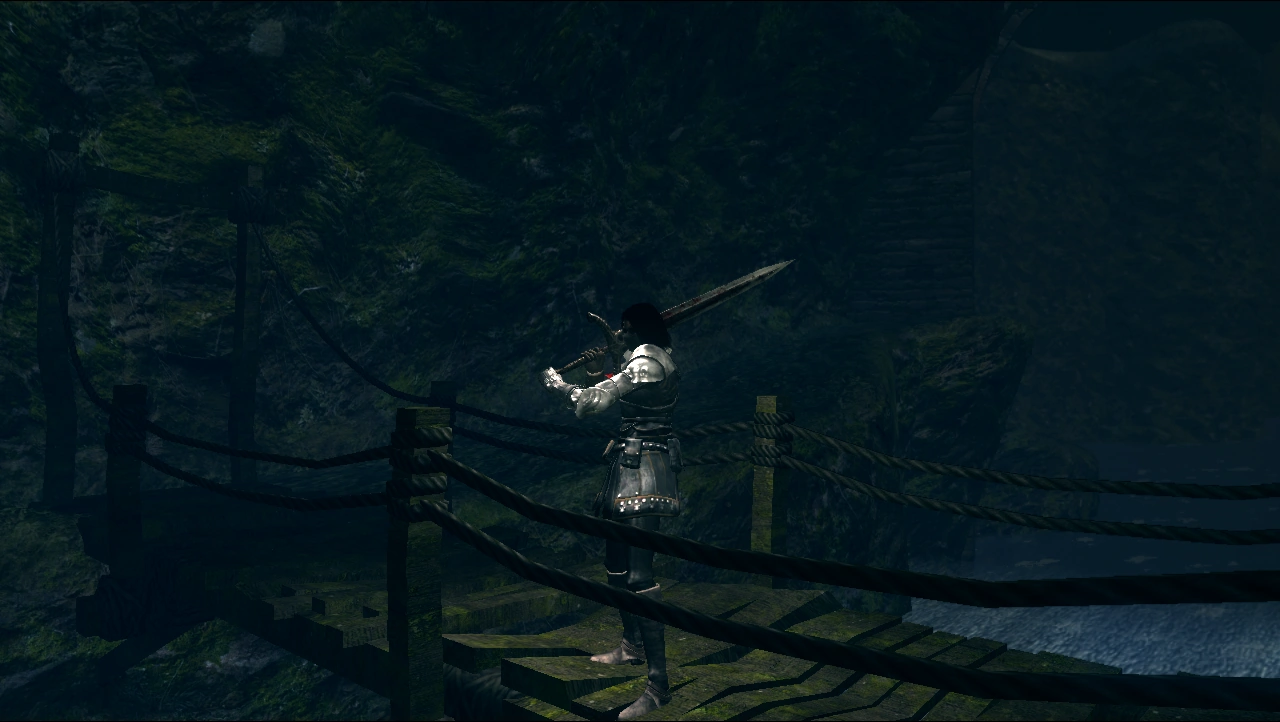 Darkroot Basin 0.png