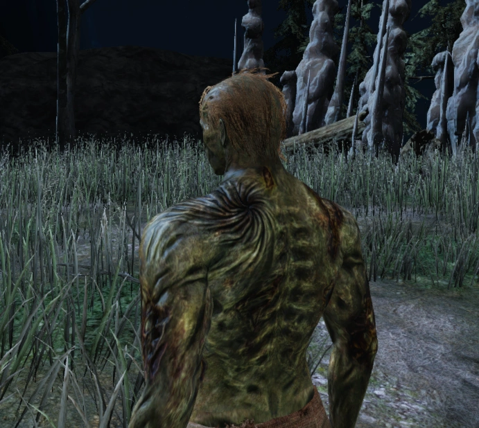 Форма полого (спина)