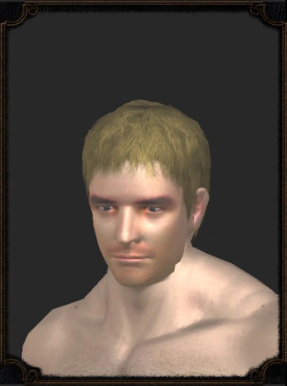 Паладин Лирой (лицо).