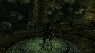 Третья стадия паразитного яйца.