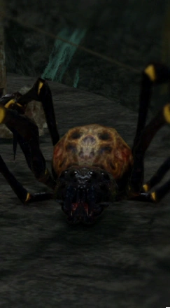 Паразитный паук