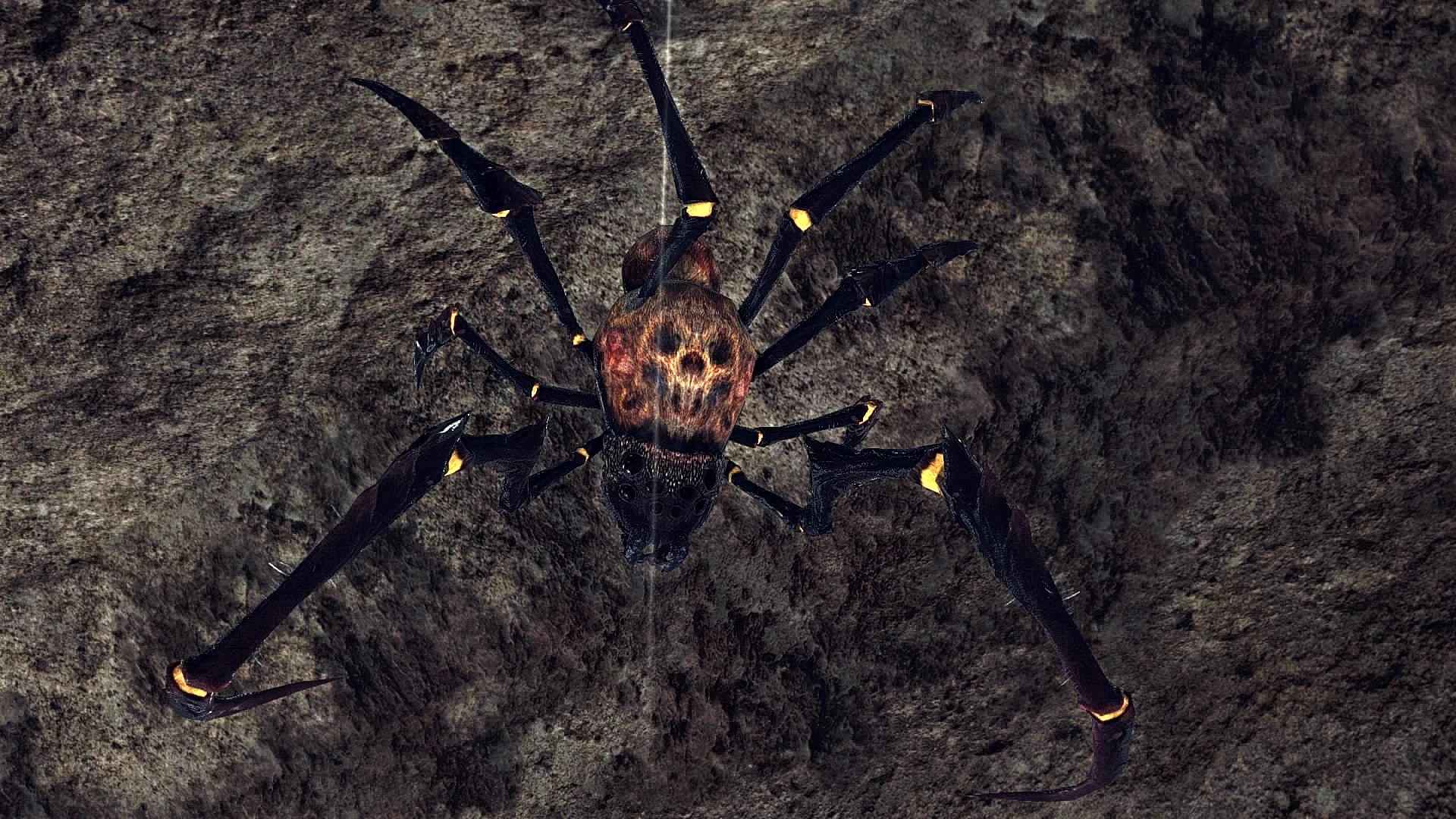 DARK SOULS™ II_ Scholar of the First Sin_20151025093912.jpg