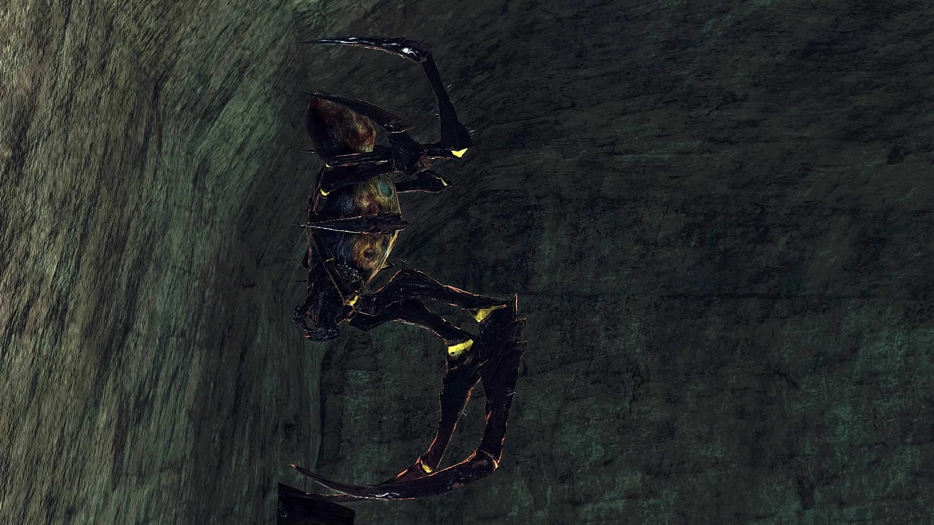 DARK SOULS™ II_ Scholar of the First Sin_20151027194040.jpg