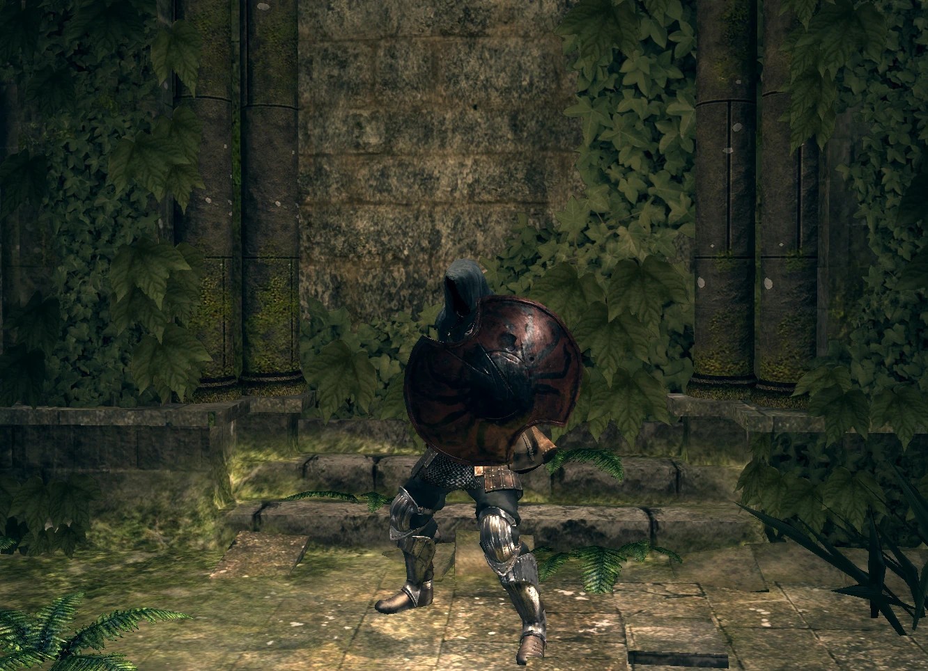 Паучий щит.jpg