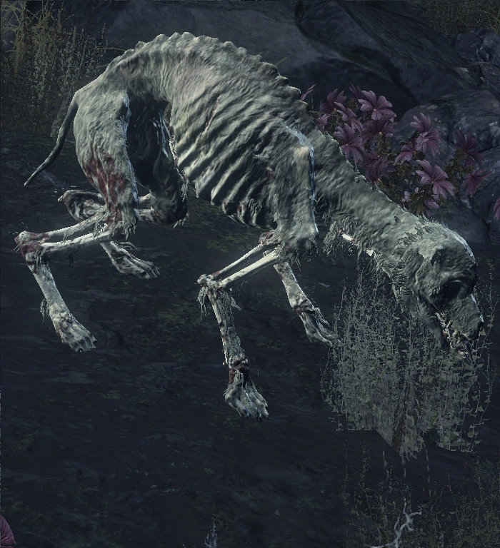 Голодная гончая