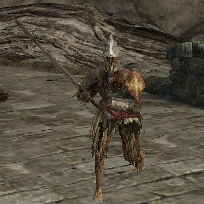 Полый солдат (Dark Souls II)