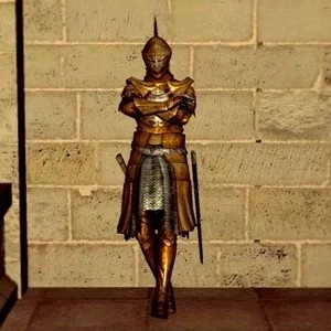 Рыцарь Клинков*