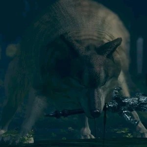 Сиф Великий Волк