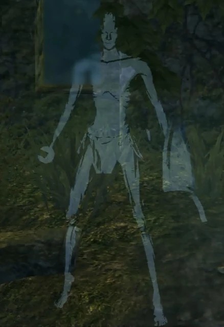 Фантом другого игрока