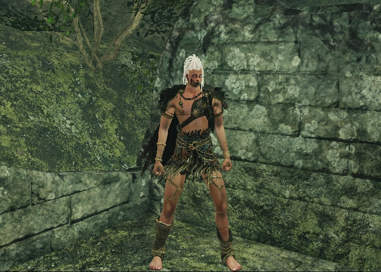 Красный плащ Львиного воина