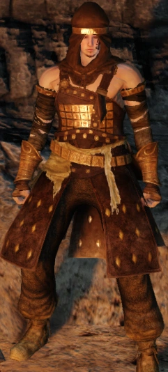 Сет разбойника (Dark Souls II)