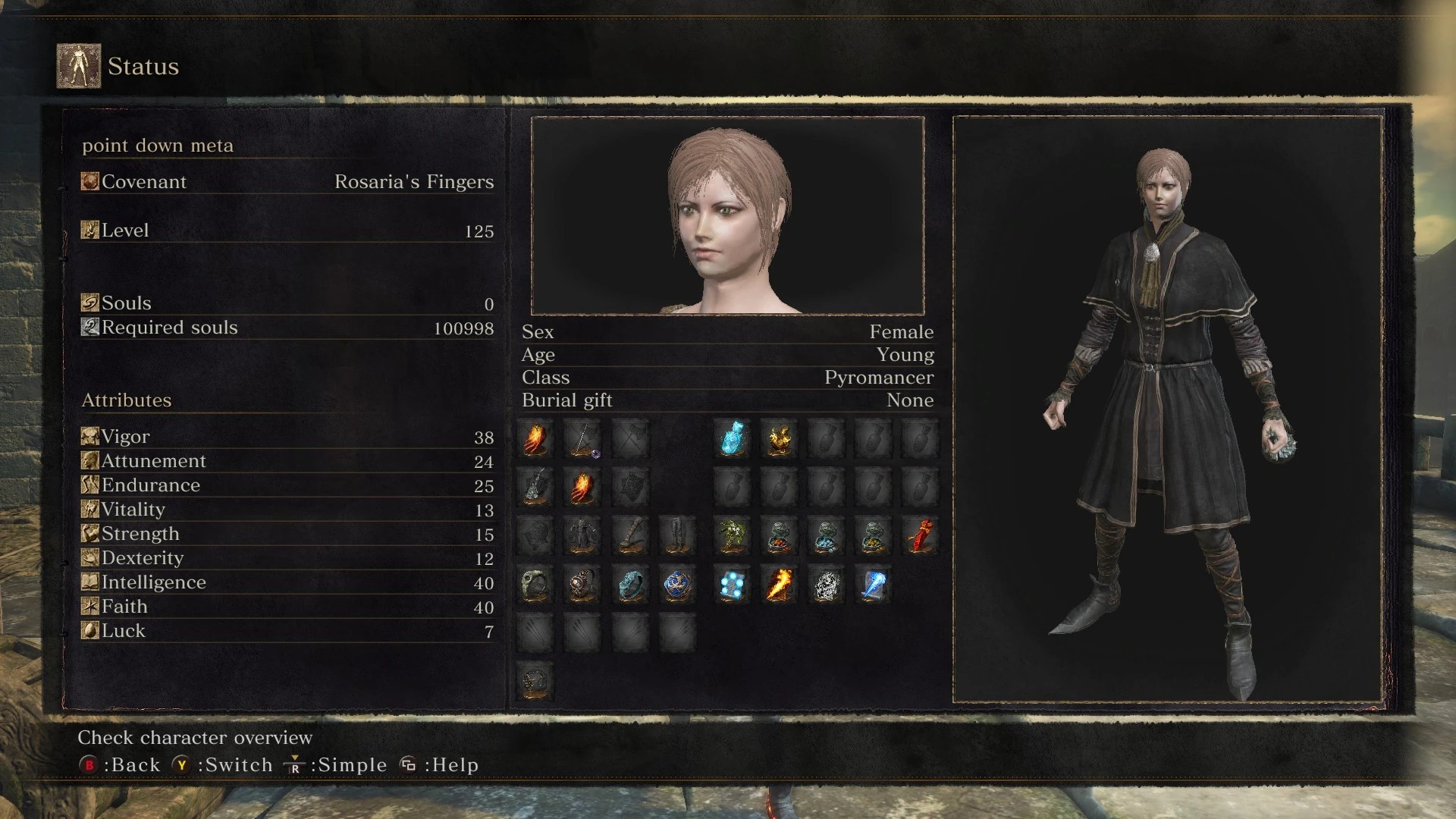 Кастер гибрид