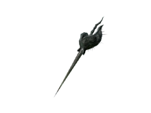 Жало черного скорпиона