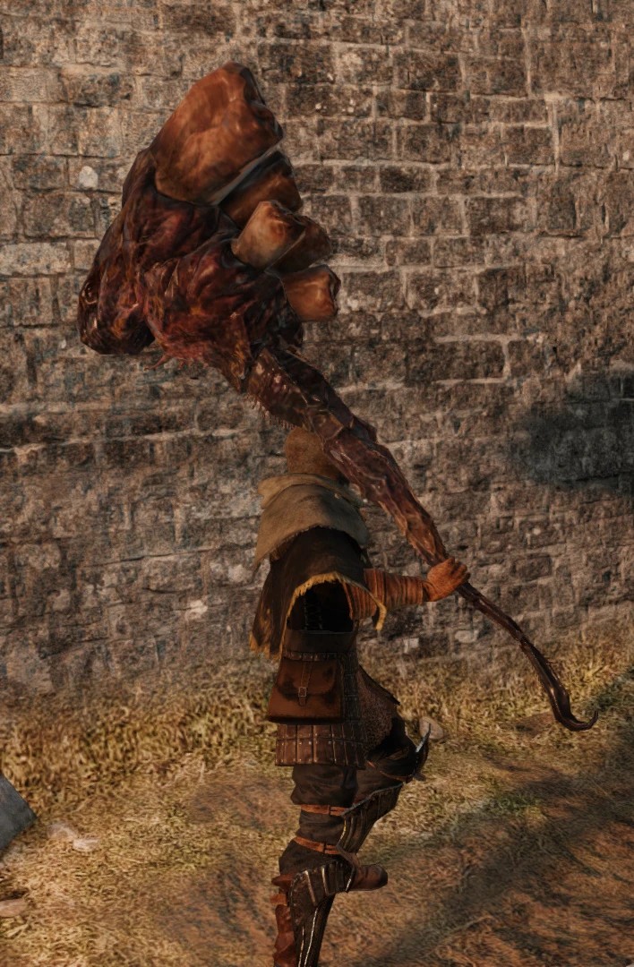 Уродливый панцирь.jpg