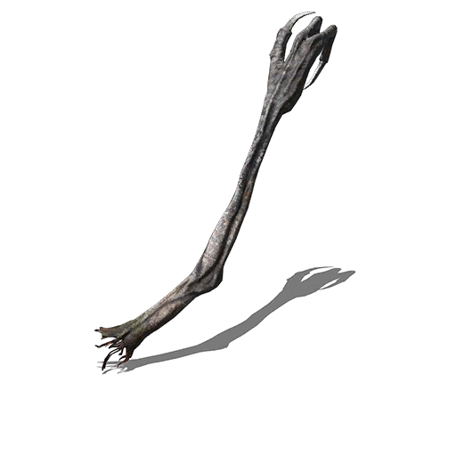 Правая рука проповедника