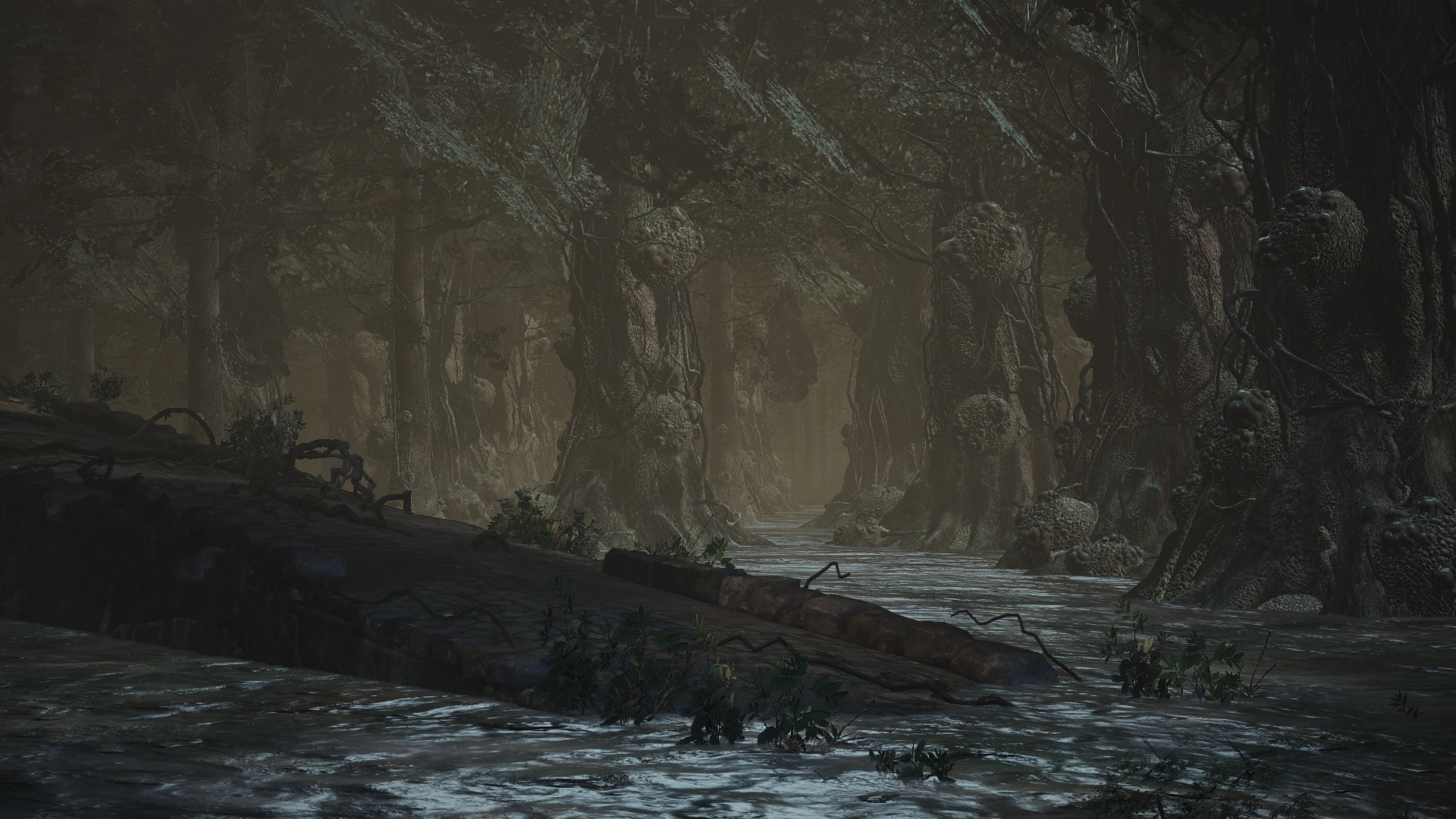 Цитадель Фаррона2.png