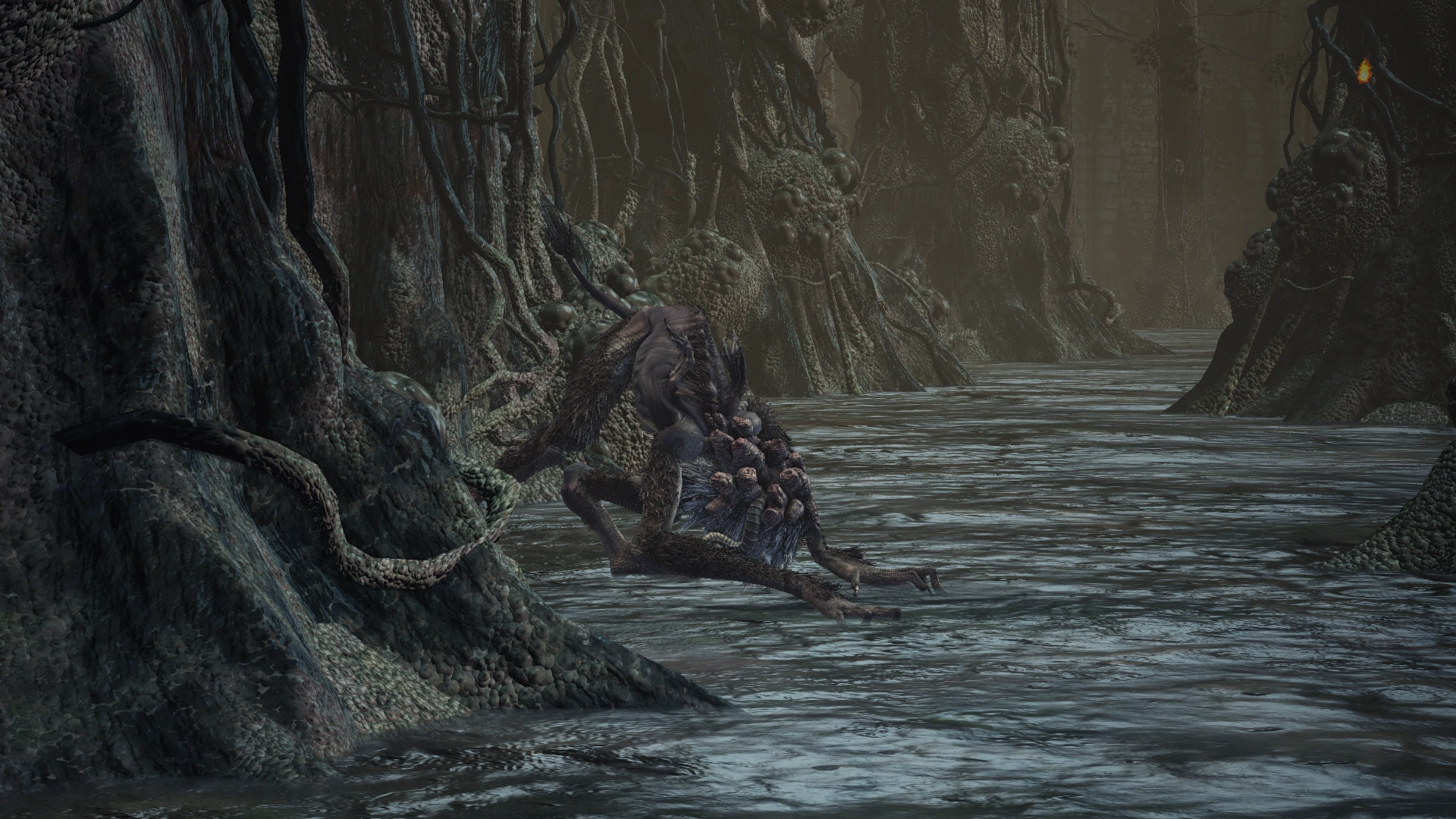 Цитадель Фаррона3.png