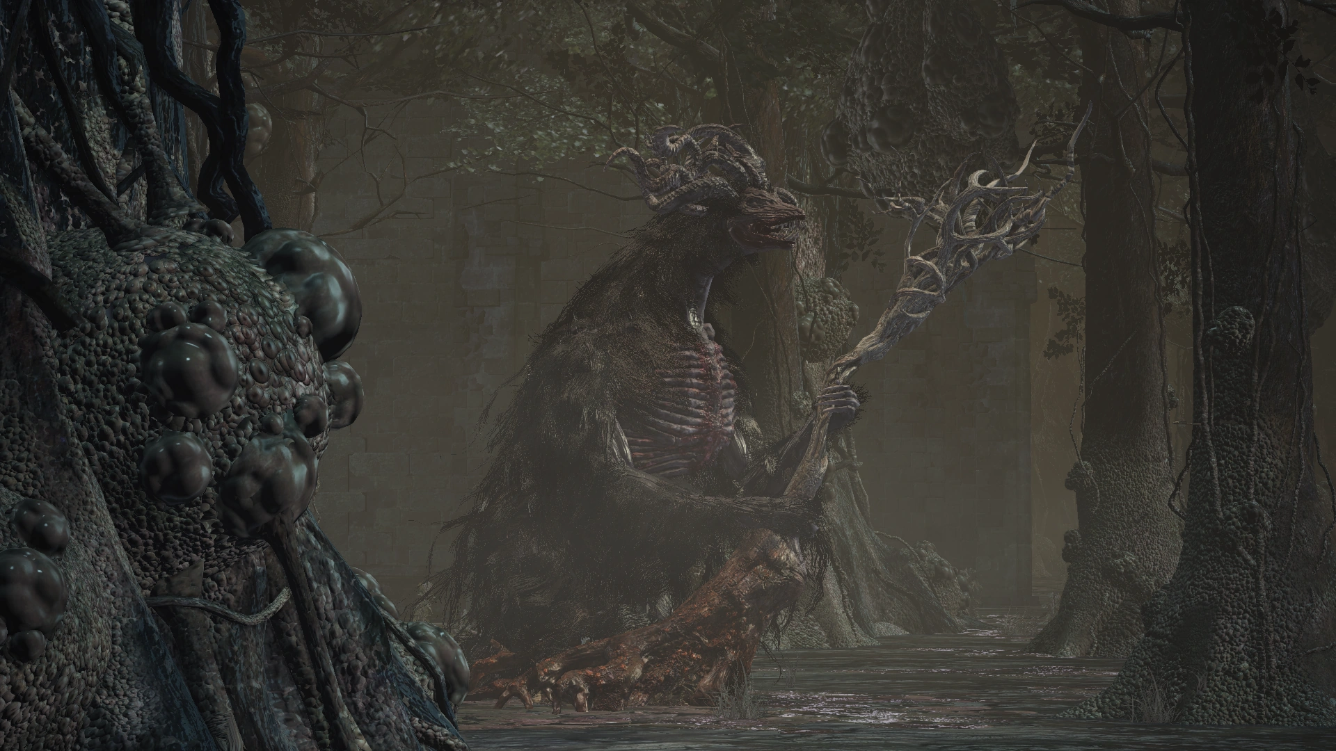 Цитадель Фаррона4.png